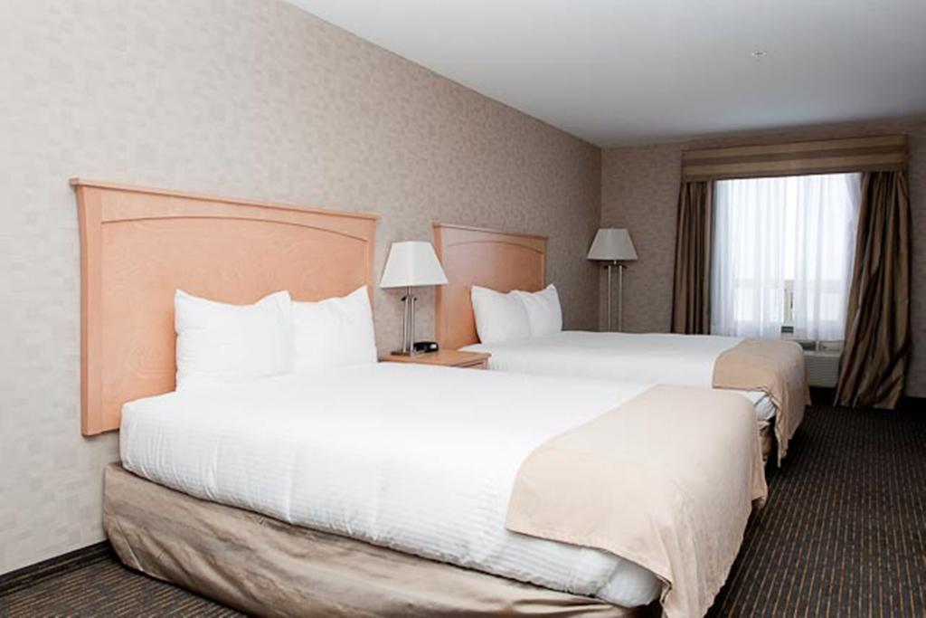 Paradise Inn And Suites Valleyview Phòng bức ảnh